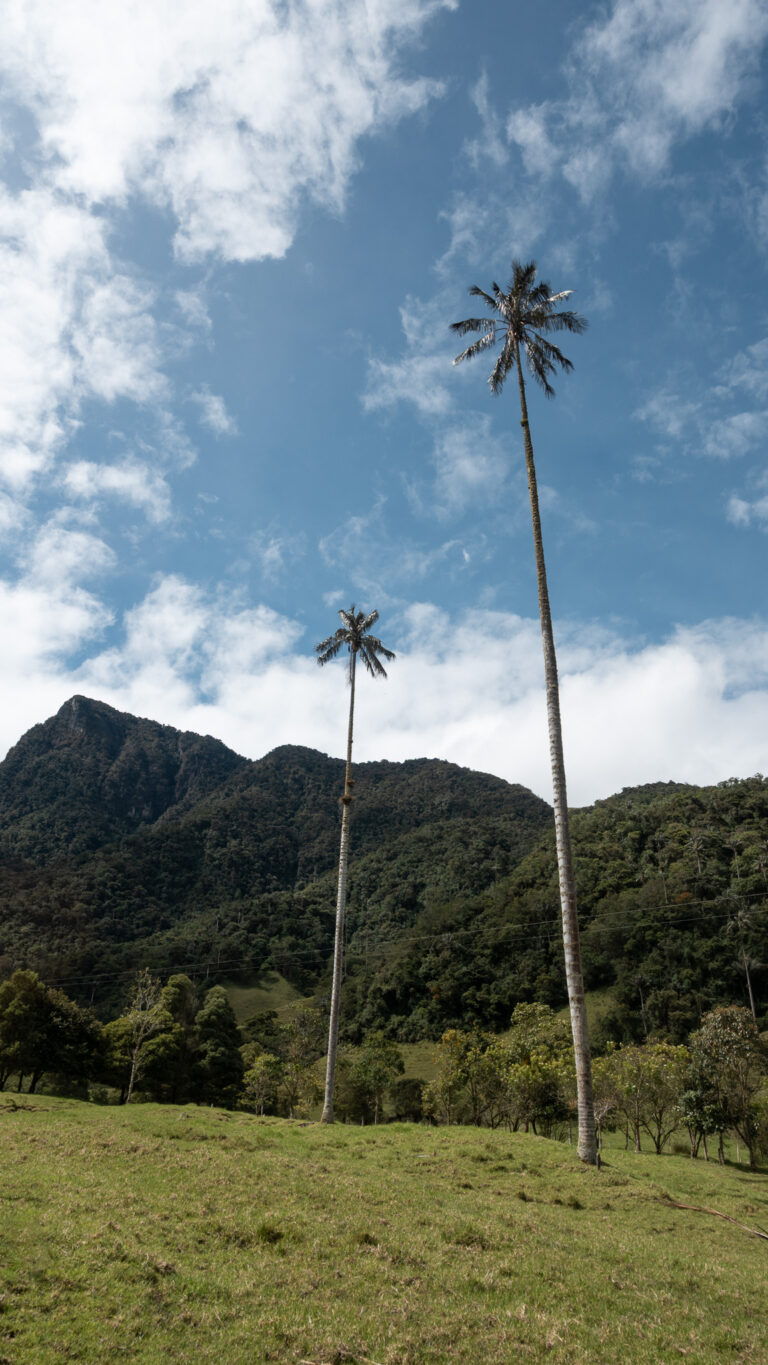 Cocora valley hike colombia breakawaywithbart