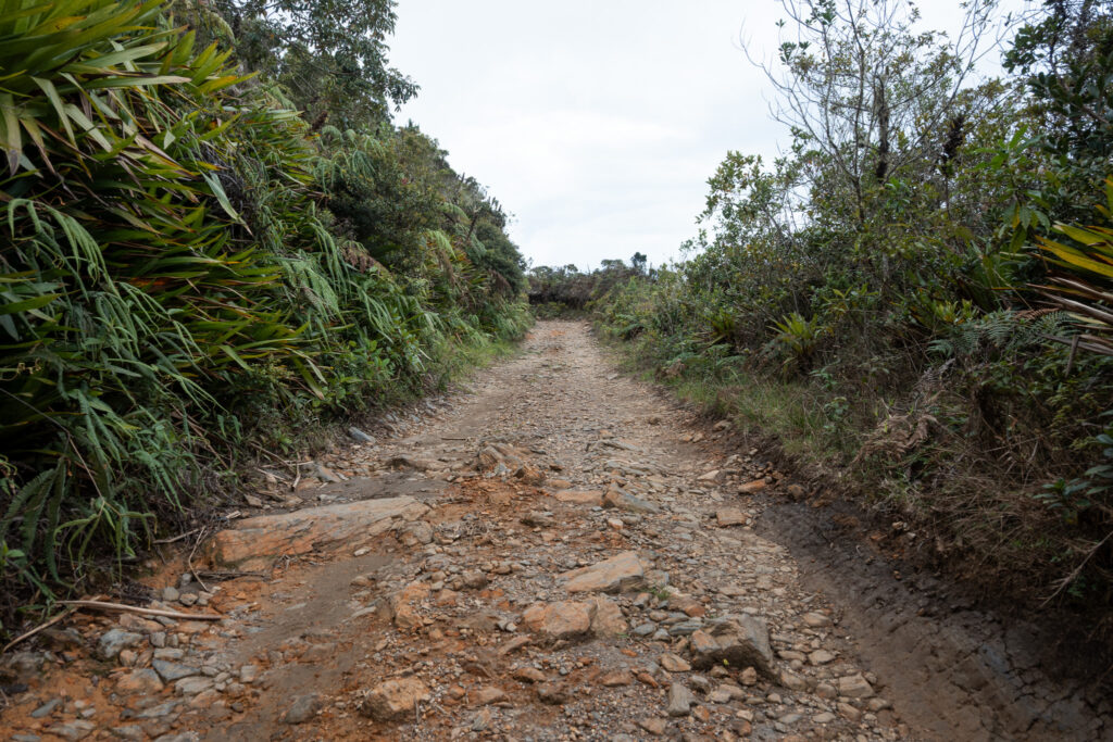 cero kennedy hike minca colombia breakawaywithbart