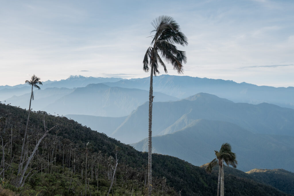 cero kennedy hike minca colombia breakawaywithbart