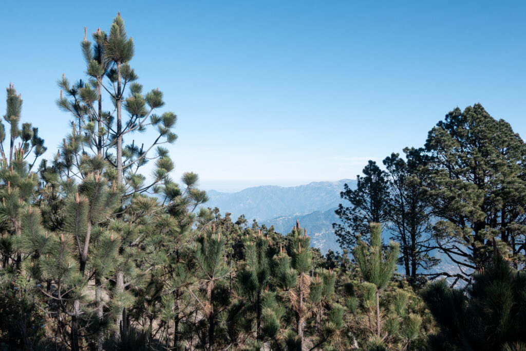 tajumulco volcano hiking guide tips