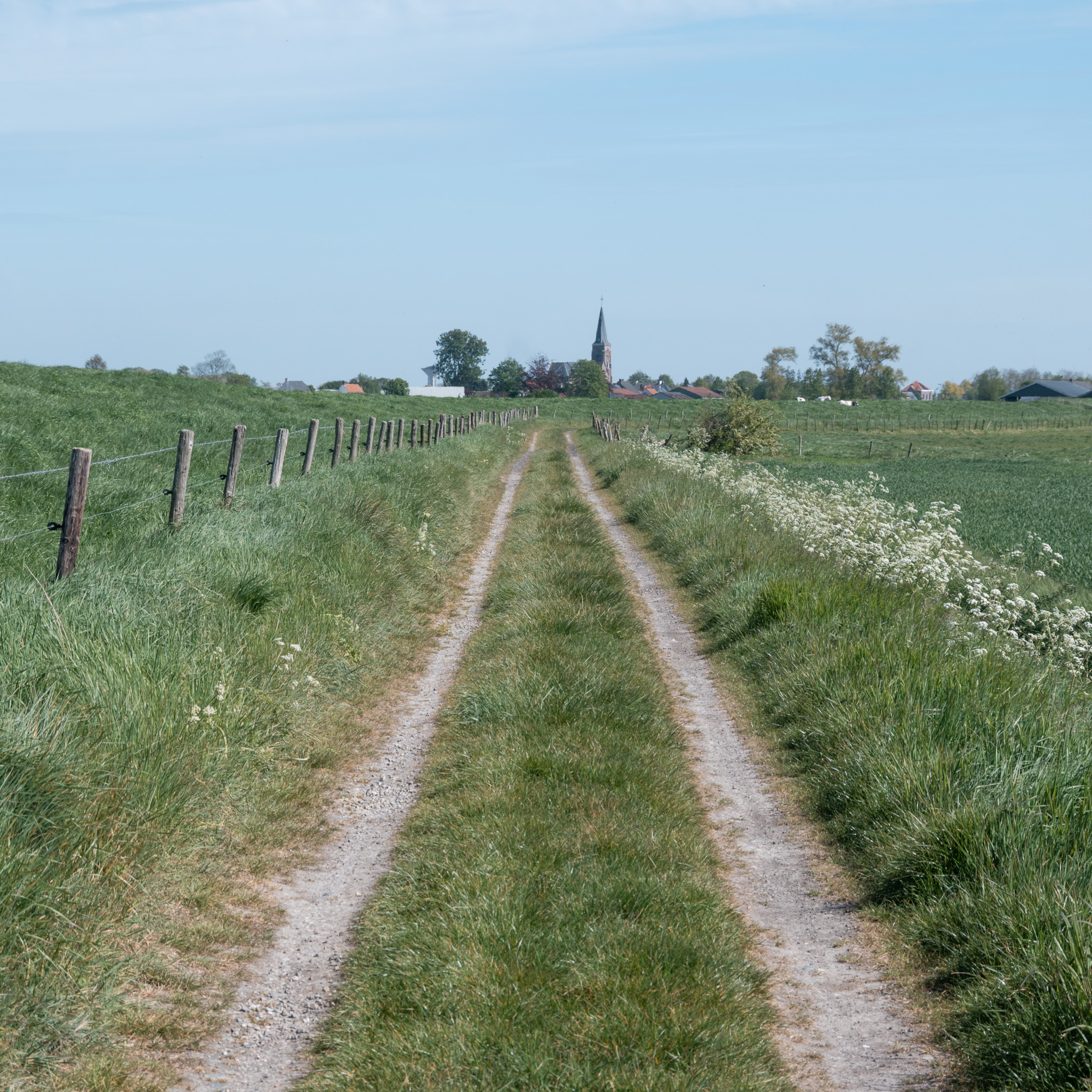 Cycling in Zeeuws-Vlaanderen