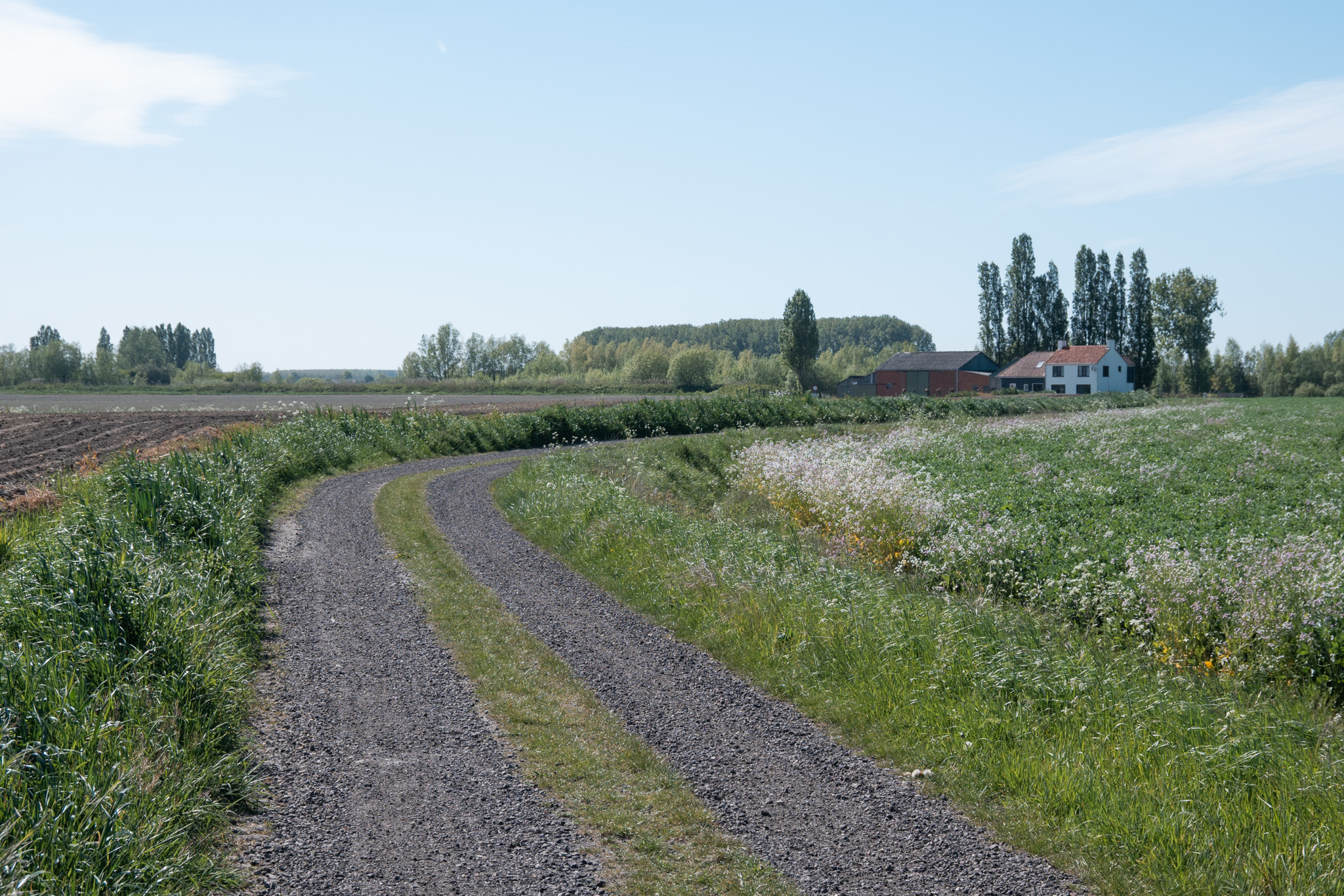 cycling in Zeeland Gravel Roads