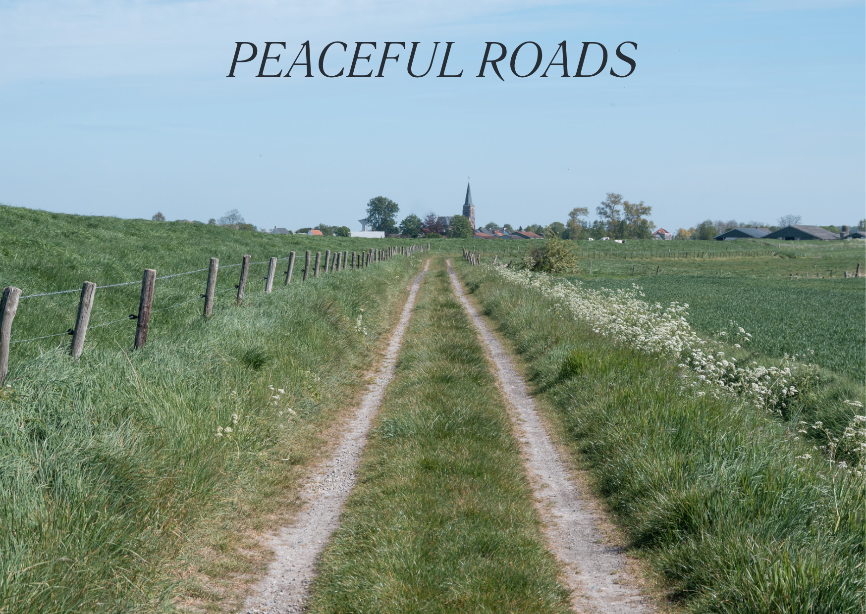 cycling in zeeland gravel riding