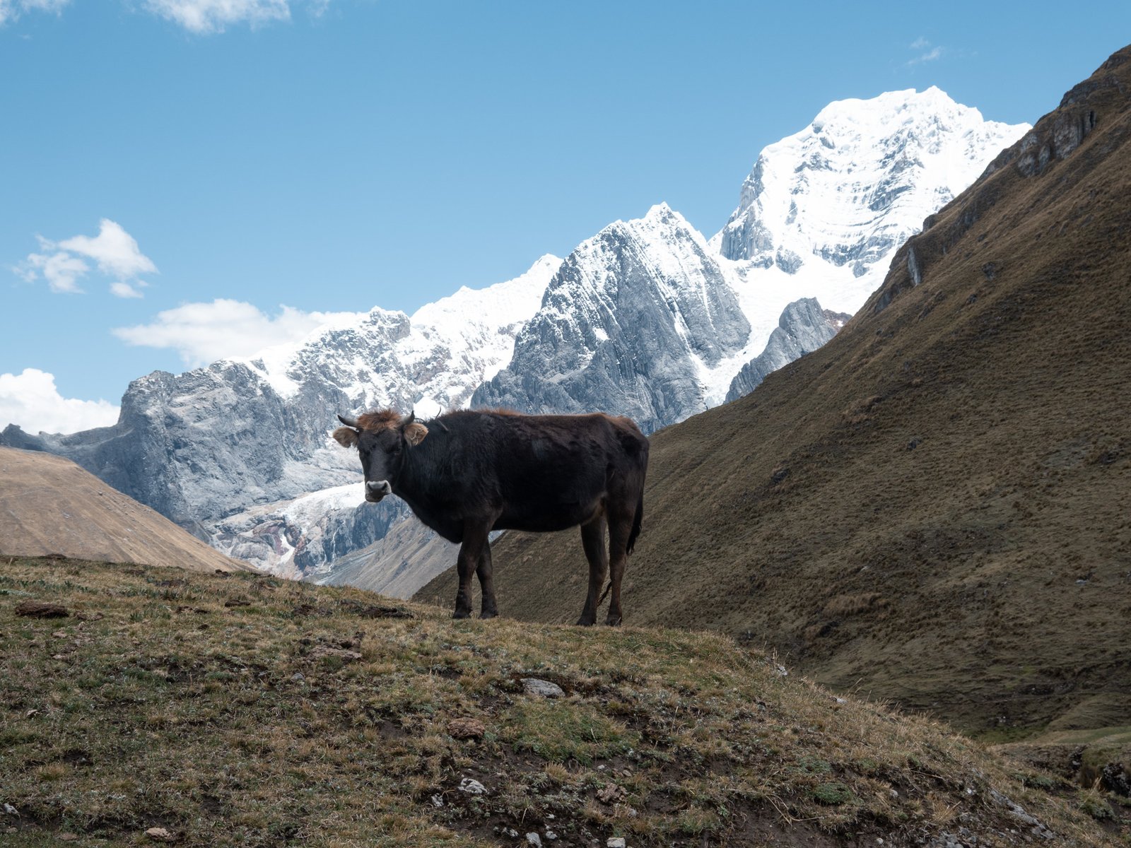 huayhuash trek solo guide