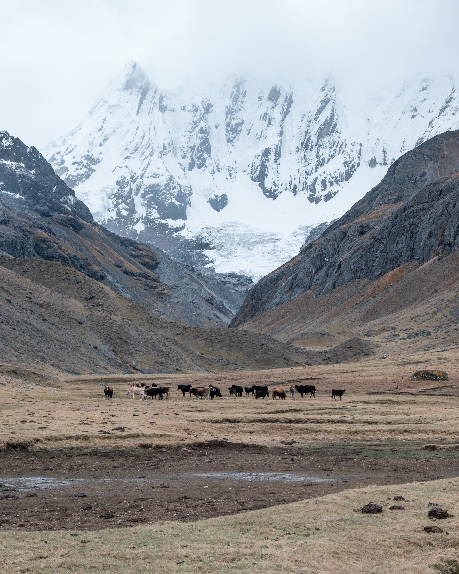 huayhuash hiking guide