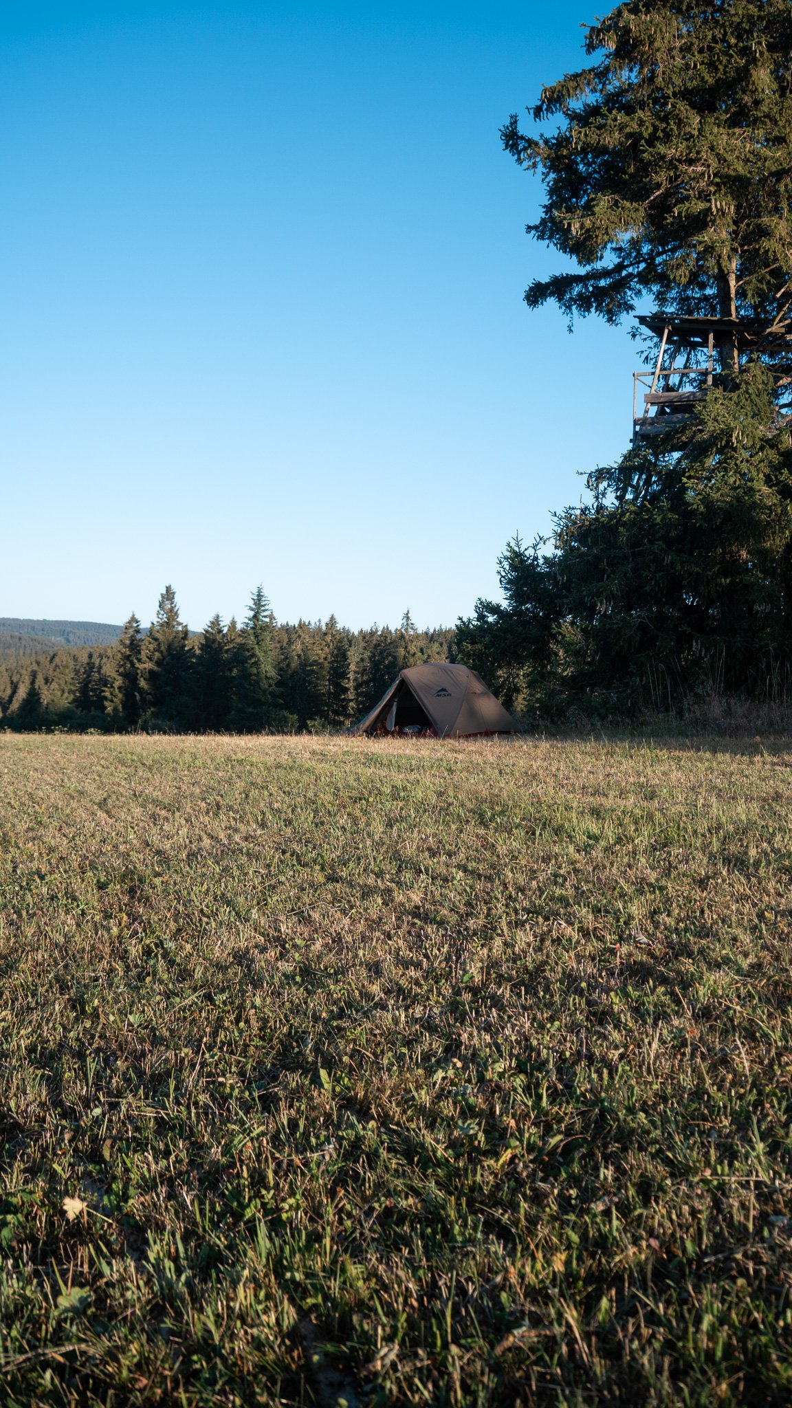 DSC_6859