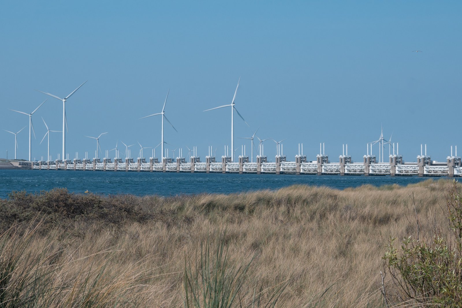 cycling beveland zeeland